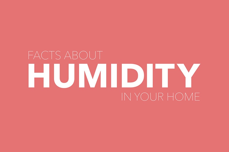 Video - Facts About Humidity. White text reading "FACTS ABOUT HUMIDITY IN YOUR HOME" on pink background.